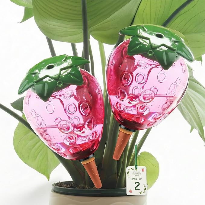 Self Watering Globes for Plants 19 oz Extra Large 2 Pcs - Fruit Shape Plant Watering Devices Automatic Plant Waterer Indoor, Vacation Plant Care, Watering Bulbs(2 Strawberries)
