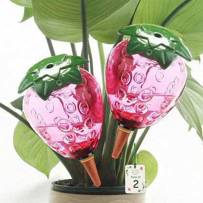 Self Watering Globes for Plants 19 oz Extra Large 2 Pcs - Fruit Shape Plant Watering Devices Automatic Plant Waterer Indoor, Vacation Plant Care, Watering Bulbs(2 Strawberries)