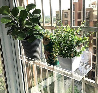 2 Pack Acrylic 15 Inch Window Box Shelf Ledge Suction Cup Shelf Box for Herbs Planter Succulents