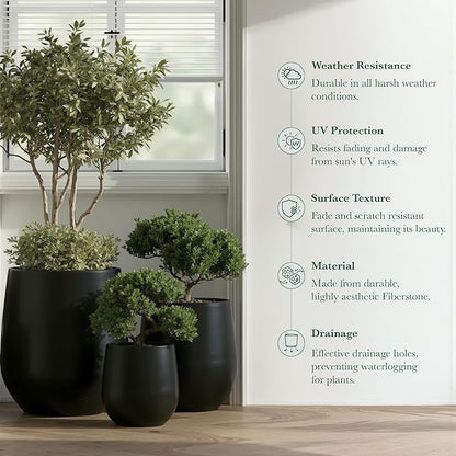 DTY Signature Mount Wilson Modern Indoor Outdoor Fiberstone Tapered Planter, Lightweight, Weather Resistant Garden Pot with Drainage Hole & Rubber Plug, Planter for Christmas Decor - Black, Small
