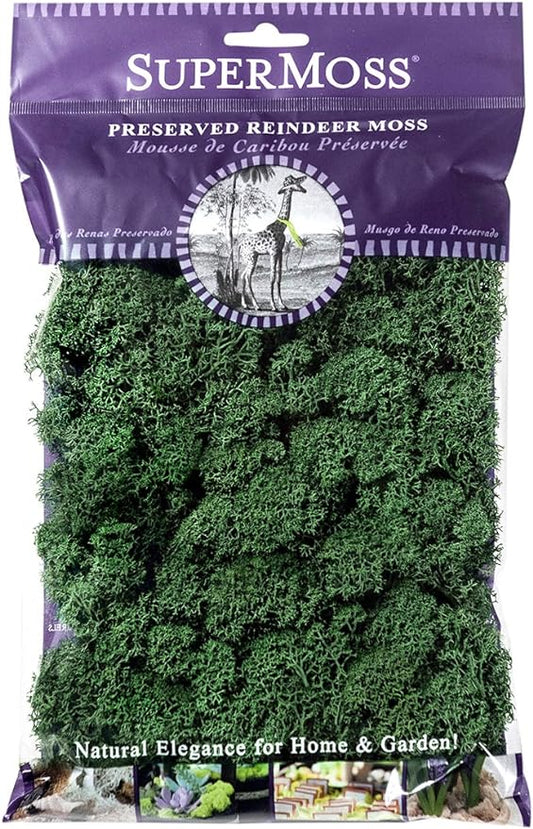 SuperMoss (21703) Reindeer Moss Preserved, Forest Green, 2oz