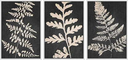 Ashbrook Framed Canvas Print Wall Art Set Black Forest Fern Plant Silhouette Nature Wilderness Illustrations Modern Art Rustic Chic Colorful for Living Room, Bedroom, Office - 24"x36"x3 White