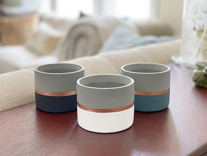 Assorted Nordic Cement Succulent Pots 3.5" Planters with Drainage | 3 Pack