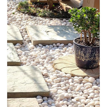 20 lbs White Pebbles for Indoor Plants, 0.8-1.2 inch Small River Rocks for Plants. Decorative White Stones for Planters Vase Fish Tank and Outdoor Garden Landscaping Rocks