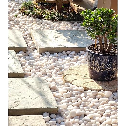 20 lbs White River Rocks, 1-2 Inch Polished Pebbles for Indoor Plants, Decorative White Stones for Plants, Vase, Aquarium, Fish Tank, Landscaping and Garden