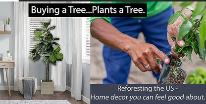 Cypress & Alabaster Handmade 5ft Fiddle Leaf Fig Ficus Lyrata Artificial Tree with Ethically Sourced Real Wood Trunks, Hypoallergenic, 5-Foot, Green