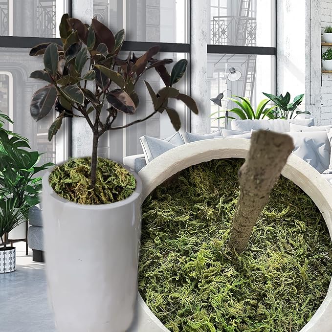 10.2 OZ Fake Moss for Potted Plants & Fake Plants - Artificial Faux Moss for Planters & Craft