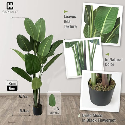 CAPHAUS 6FT Artificial Bird of Paradise Tree, UV Resistant Potted Fake Plant with Dried Moss for Indoor Outdoor Use, Realistic Large Floor Plant for Home Office Decor, No Maintenance