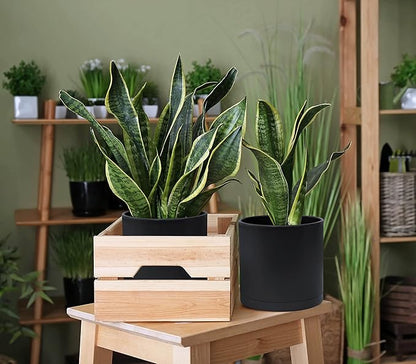 D'vine Dev 6 Inch 6.5 Inch 8 Inch, Set of 3 Plastic Planter Pots for Plants with Drainage Hole and Seamless Saucers, Black Color, Medium, 74-V-B-3