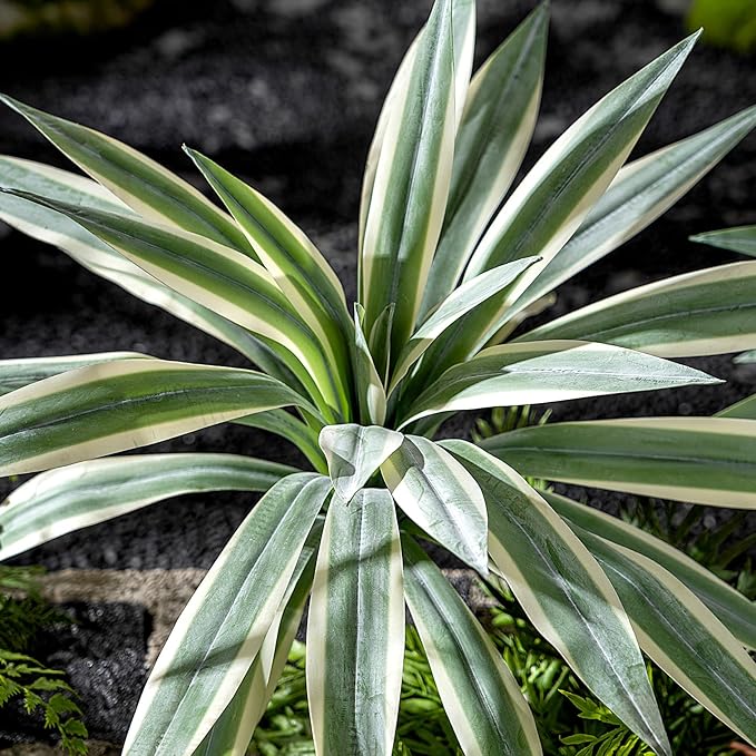 Artificial Agave Plant Fake Agave Planters for Indoor Outdoor Faux Agave Plants Real Touch Realistic Greenery for Home Living Room Office Bathroom Garden Front Porch Patio Decor (19inch-2 Pcs White)