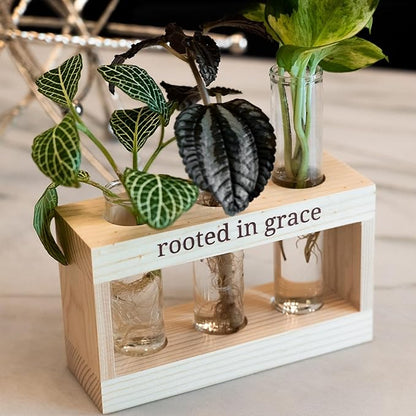 Rooted in Grace: Plant Propagation Stations: Plant Cutting Holder w/ 3 Glass Propagating Vases, Unique & Encouraging Christian Gifts for Women, Faith-Inspired Home Decor