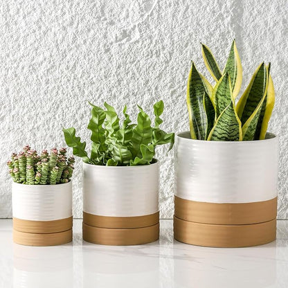 HASENSE Plant Pots, 8+6+4.6 Inch Ceramic Pots for Plants with Drainage Hole and Saucer, White Flower Planters Set of 3, Ideal for Gardening Home Desktop Office Decor