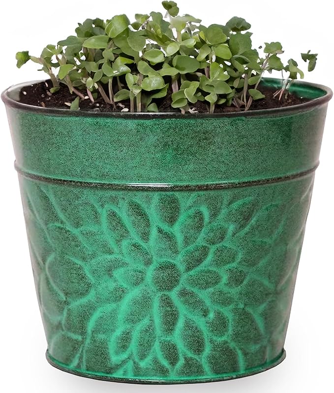 Robert Allen MPT02010 Laurel Series Metal Planter Flower Pots, 8", Aqua