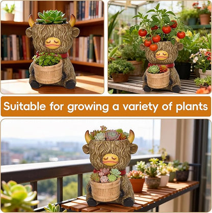 Cute Plant Pots Decor - Highland Cow Planter with Two Planters Animal Flower Pots with Drainage,Mini Succulent Pot for Home Desk Patio Decorations Outdoor Indoor Plants Pot Gifts for Plant Lovers