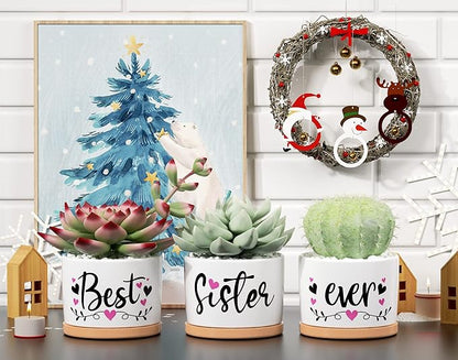 Christmas Sisters Gifts from Sister, Best Gifts for Sister from Brother, Best Sister Ever Ceramic Succulent Pots for Plants Indoor, Gift Boxed Thanksgiving Birthday Gifts for Sister in Law Soul Sister