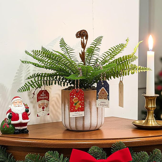 Artificial 21 Fronds Boston Ferns with Pot for Home and Outdoor Decor, Large Faux Fern Plants Decoration for Office & Living Room, Patio, Garden, Suitable for Christmas Decor (Pink & White Pot)