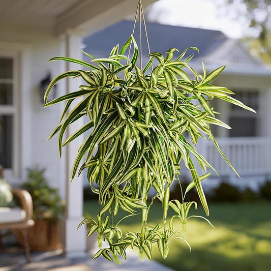 2 Pcs Artificial Spider Hanging Plant Artificial Bracketplant Chlorophytum Fake Greenery for Outdoor Porch Patio Window Shelf Office Garden Home Decor (Yellow)