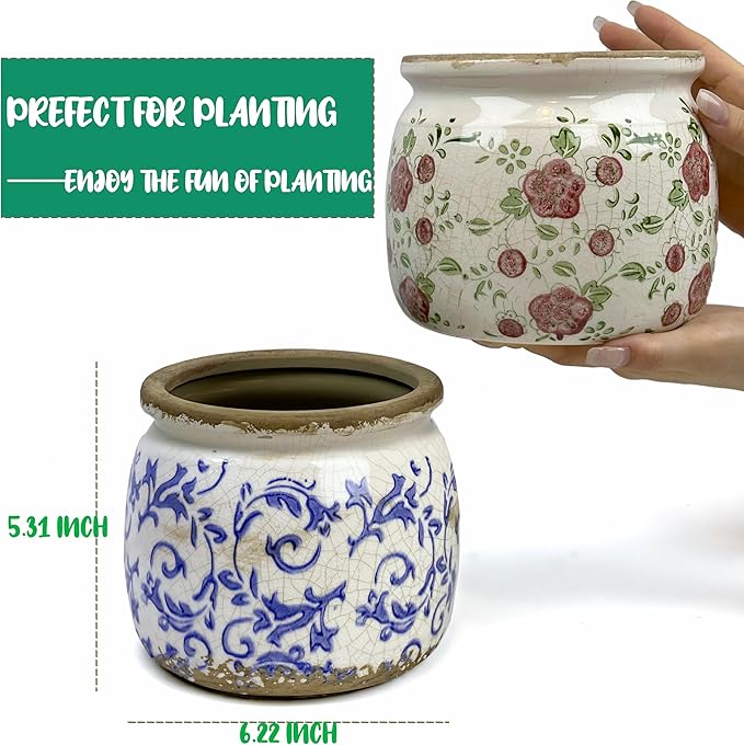 Vintage Ceramic Ice Crack Flower Pot with Drainage Holes, Country Rustic Planters for Indoor and Outdoor,Tuscan Decor,Home,Living Room, Garden Decor, Gardening Gift (Tropical)