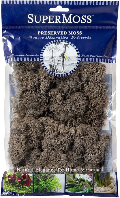 SuperMoss (25165) Reindeer Moss – Soft Preserved Moss for Home Decor, Crafts, Terrariums, Floral Design, and Wedding Decorations, 80.75 cu in, Cashmere