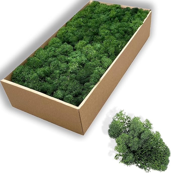 Preserved 5oz Moss Artificial Moss Natural Fresh Green Moss for Craft Handicraft Arts Floral Project Wall Decor Table Decor Wedding Centerpieces Garden Terrariums Decoration-Green
