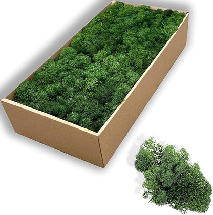 Preserved 5oz Moss Artificial Moss Natural Fresh Green Moss for Craft Handicraft Arts Floral Project Wall Decor Table Decor Wedding Centerpieces Garden Terrariums Decoration-Green