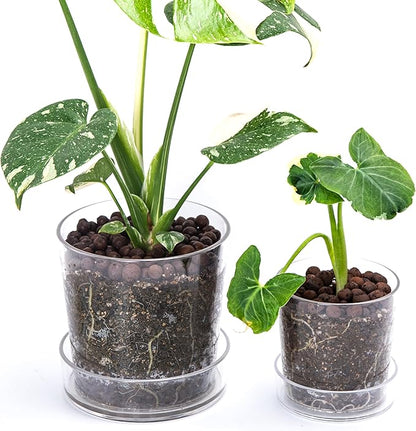 Phoenix Vine 4.5 Inch 6.5 Inch Clear Acrylic Houseplants Planter Pot with Tray, Orchid Pot with Drainage Holes, Deep Saucer for Bottom Watering, Transparent Containers for Indoor Plants, Herbs, 91-B-W