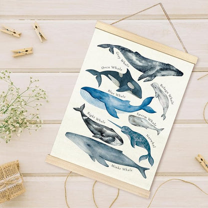 TAEDIN Whales Ocean Animal Chart Poster Hanger Frame, Whales Nautical Wall decor Educational Wooden Canvas Print, Sea Life Beach Wall Decor Painting for Classroom Nursery Bedroom Teen Room 12X16