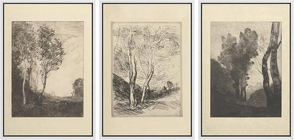 Ashbrook Framed Canvas Print Wall Art Set Fine Art Country Farmhouse Decor Landscapes Duotone Nature Wilderness Illustrations Floral Botanical Calm/Relax/Cozy for Bedroom - 16"x24"x3 WHITE