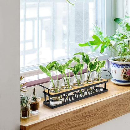 THYGIFTREE Plant Propagation Stations, for Plant Lovers Rooting for You Propagate Jars for Hydroponic Cuttings Propagating Vase