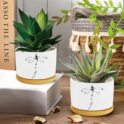 Window Garden Dragonfly Planter Pots,Dragonfly Gifts for Women/Men/Housewarming/Wedding/Festival Birthday Gifts Planter Pots,Outdoors/Indoors,Window Decor,Garden Decor,Yard Decor,Home Decor,Office