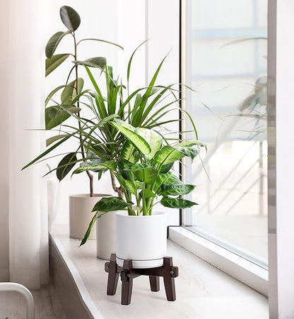 D'vine Dev Ceramic Planter with Wood Stand - 6 Inch Mid Century Modern Cylinder Plant Pot Set for Indoor Plants & Flowers, White, 55-A-Z-1