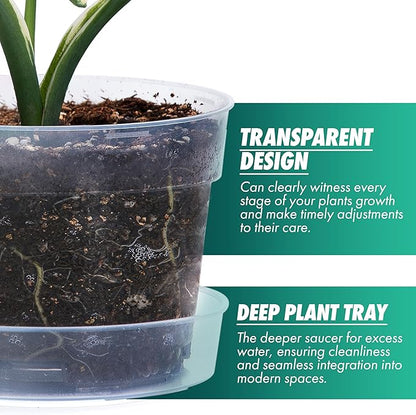 6 Inch Clear Plastic Plant Pot with Drainage Holes, Interlocking & Detachable Tray - Deep Saucer - Durable BPA-Free Plastic, Transparent Design, Raised Base for Airflow, Set of 6, 92-X-A-4