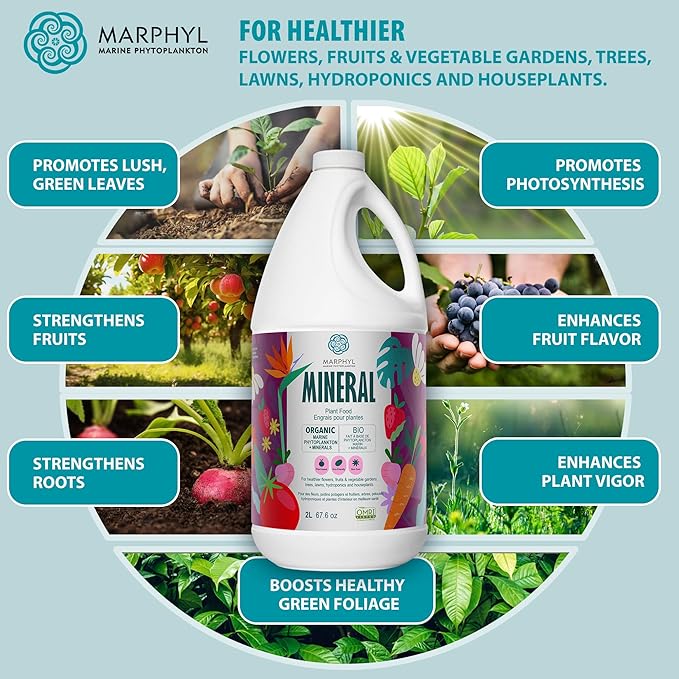 MARPHYL Organic Minerals Liquid Fertilizer, Rich Blend of Essential Minerals for Garden, Flowers, Vegetables, Succulents, Bamboo, Hydroponics 16.9 oz