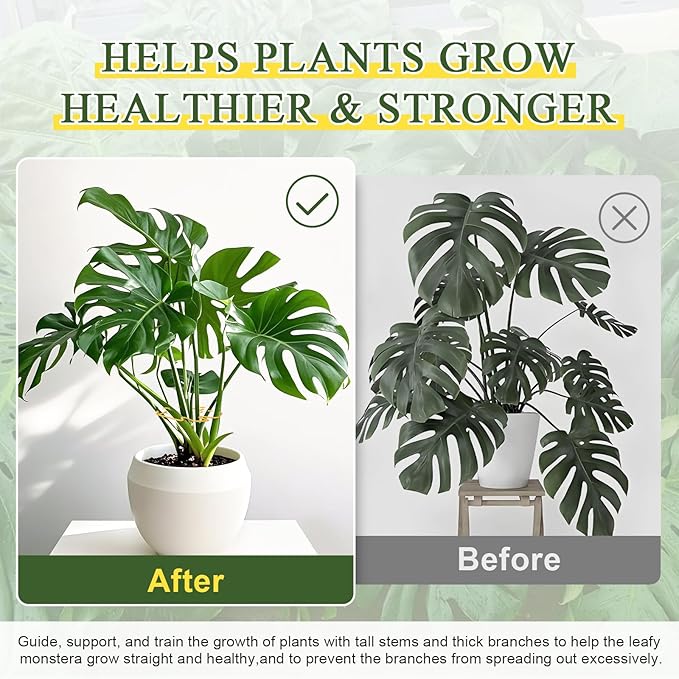 3PCS Monstera Plant Support, Metal Plant Supports Plant Stem Holder Plant Support Ring Stabilizer Durable for Climbing Plants Indoor Outdoor Moss Pole (Gold)