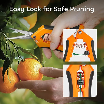 GROWNEER 3 Packs 6.5 Inch Pruning Shears Gardening Hand Pruning Snips Gardening Scissors with Straight Stainless Steel Precision Blades
