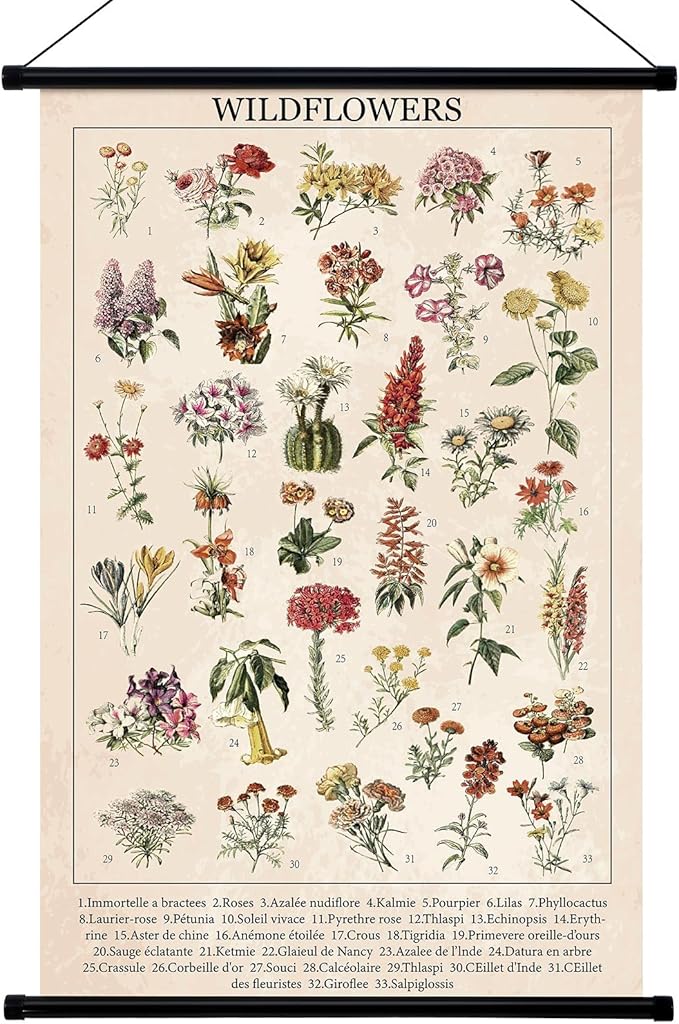 Geyee Wildflowers Vintage Poster Wall Decor Rustic Hanging Art Illustrative Reference Chart Prints Picture for Living Room Office Classroom Bedroom Frame, 15.8 x 23.6 Inch