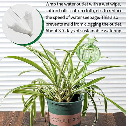 Self Watering Planter Insert. Plant Watering Devices. 3-Pack Cactus Plant Watering Bulbs. Plant Watering Globes. Plant Gifts Plant Lover Gifts