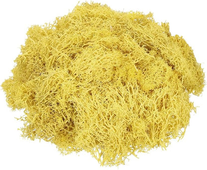 MECCANIXITY 4.6oz Preserved Reindeer Moss, Yellow Decorative Artificial Fake Moss for Potted Plants Indoor Crafts Lichen Centerpieces Decor
