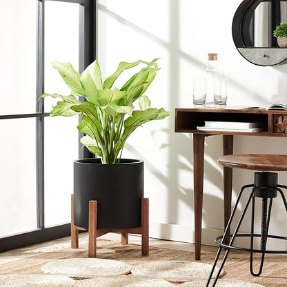 SAFAVIEH Outdoor Collection Jesper Natural/Black Concrete Planter