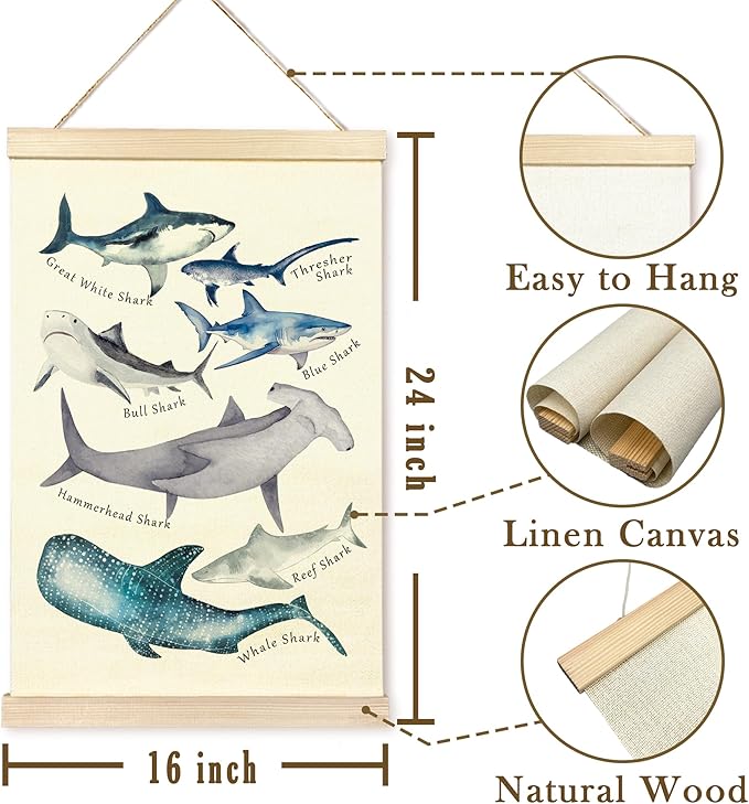 TAEDIN Watercolor Shark Ocean Animal Chart Poster Hanger Frame, Educational Shark Kid Bathroom Decor Wooden Canvas Artwork Print, Sea Life Wall Painting for Homeschool Classroom Library Dorm Decor 16X24