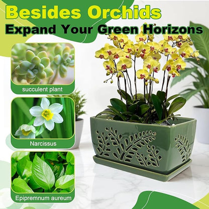 Ceramic Orchid Pot, 10 Inch Orchid Pots with Holes, Premium Thickened Handmade Glazed Pot for Orchidaceae Plants, Indoor Outdoor Decorative Flower Pots for Easy Repotting