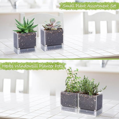 4 Inch Herb Planter Pot, Plastic Planter with Drainage Holes and Saucer, Modern Decorative Gardening Pot for Indoor Plants, Flowers, Herbs, Succulents, Clear, Set of 2, 76-Y-D-2