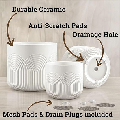 Ceramic Pots for Plants Set of 3 Sizes - 6, 5, 4 Inch Diameter Plant Pots with Drainage Holes - Ceramic Planters for Indoor Plants - Decorative Flower Pot - Plant Pot with Drainage - Indoor Planter