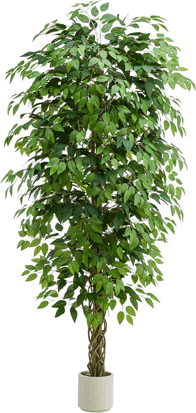 Artificial Ficus Tree：6FT Faux Silk Floor Plant Realistic Tall Fake Ficus Large Potted with Braided Trunk Lush & Green Leaves Pot for Home Office Room Decor Indoor & Outdoor (6FT,1-Pack,White)