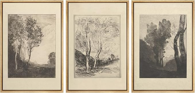 Ashbrook Framed Canvas Print Wall Art Set Fine Art Country Farmhouse Decor Landscapes Duotone Nature Wilderness Illustrations Floral Botanical Calm/Relax/Cozy for Bedroom - 16"x24"x3 NATURAL