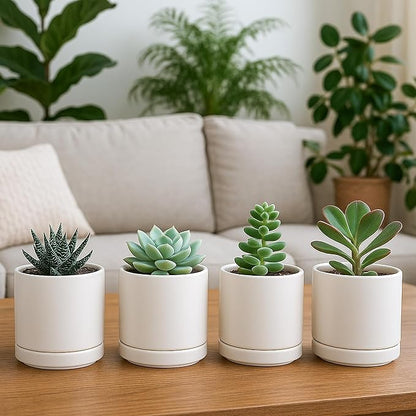 D'vine Dev Set of 4 Small Ceramic Plant Pots, 3.5 Inch Succulent Planter Pot for Plants with Drainage Hole and Saucer, Oatmeal, 94-X-A-8