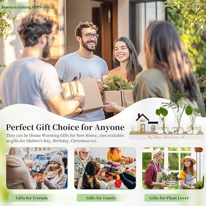 Glasseam Propagation Stations Plant Terrarium: Unique Hydroponic Planter Housewarming Gifts New Home for Women Men - Glass Propagation Jars with Wooden Stand Bulb Vase for Home Decor Plant Lover