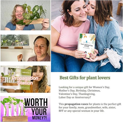 KAXYEW Plant Propagation Station, Plants Propagation Tubes, Gifts for Plant Lovers, Plants Cutting Holder Test Tube Vase Office Desk Garden Décor Gift for Her Mom Women Hydroponic Vase New Gift Box