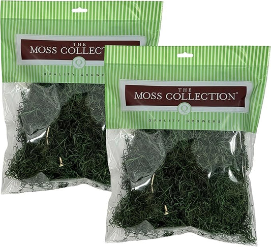 Preserved Spanish Moss - Premium Decorative Moss for Crafts, Home Décor, Art, Design & DIY Projects - Real Moss - Non-Toxic, USA-Made (Forest Green, Medium, 2-Pack)