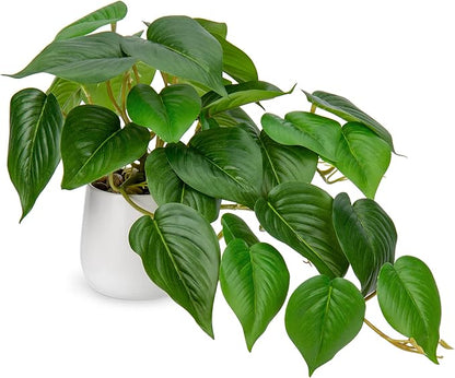 DILATATA Fake Plants Indoor 8 Inch Artificial Pothos Plant in White Ceramic Pot - Faux Potted Pothos Plant for Home Aesthetic Decor Living Room Shelf Office
